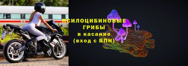 тгк Богородицк